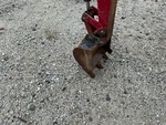 Specialty with Excavator Bucket Condition