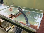 Conveyor/Rollers with