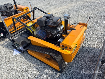 General Appearance with Bild, Ecke hinten links