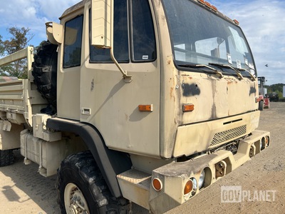 General Appearance with Paint