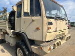 General Appearance with Paint
