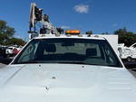 General Appearance with Glass