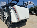 General Appearance with Paint