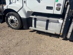 General Appearance with Steps/Ladders