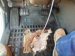 Cab with