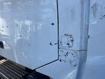 General Appearance with Paint