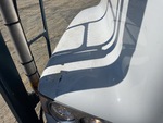 General Appearance with Paint