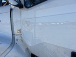 General Appearance with Paint