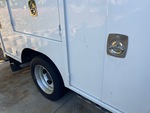 General Appearance with Paint