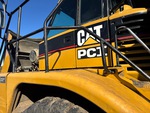General Appearance with Paint