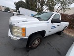 General Appearance with Paint