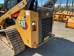 General Appearance with Paint