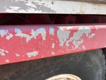 General Appearance with Paint