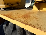 General Appearance with Peinture