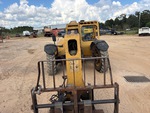 General Appearance with Paint