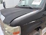 General Appearance with Pintura