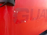 General Appearance with Paint