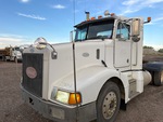 General Appearance with Paint