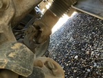 Underbody with Rear Drive Axle