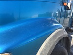 General Appearance with Paint