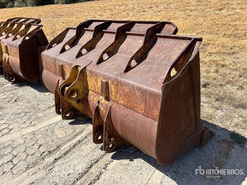 General Appearance with Foto, angolo anteriore sinistro