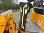 General Appearance with Hand Rails
