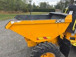 General Appearance with Paint