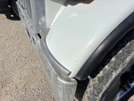 General Appearance with Paint
