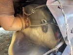 4 Engine with Diesel Particulate Filter