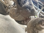 4 Underbody - Truck with Front Drive Axle