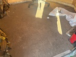 Trailer Chassis with Deck/ Floor Condition