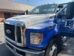 General Appearance with Paint