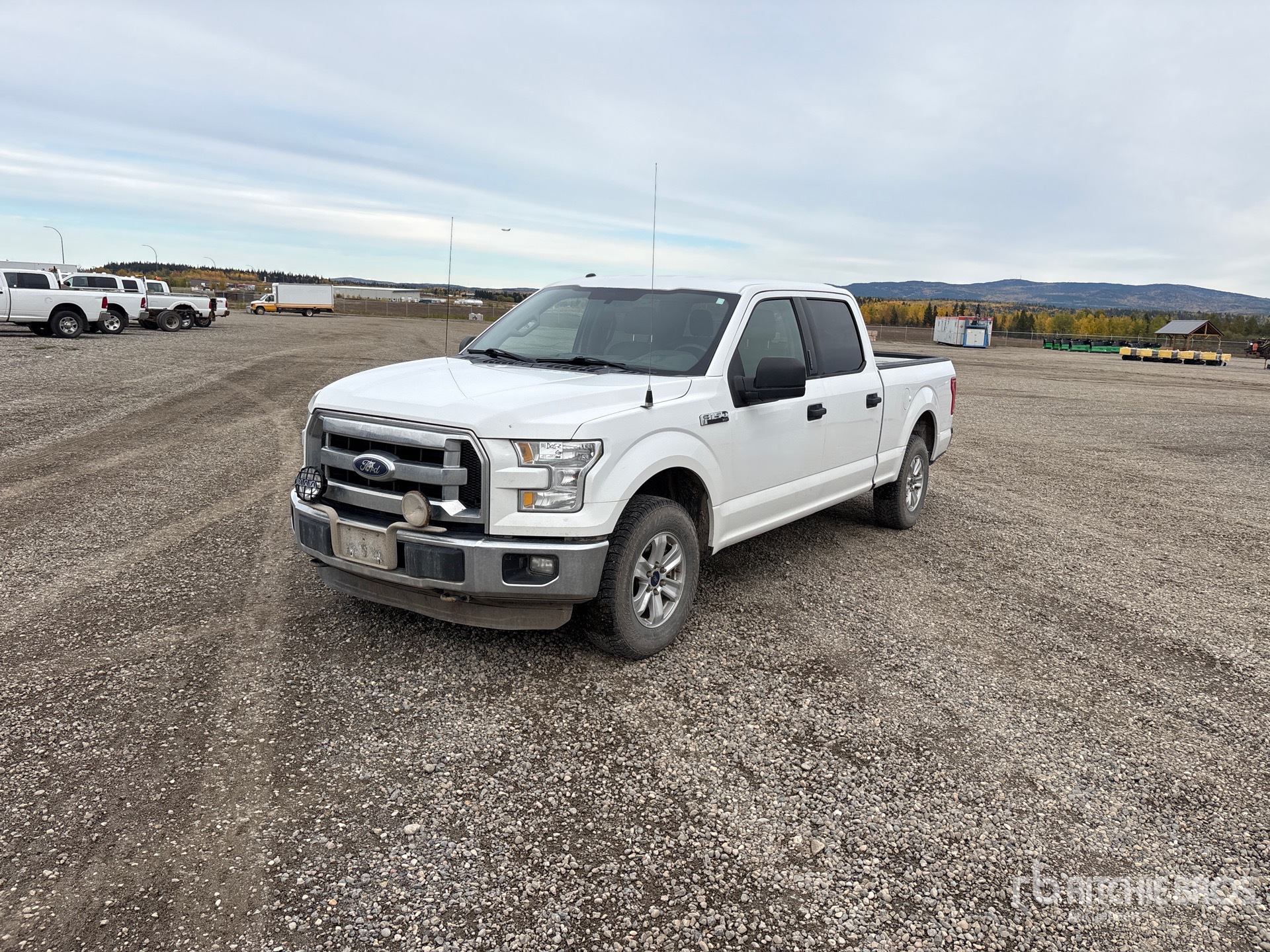 2015 Ford F-150