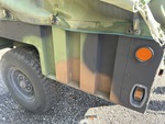 General Appearance with Paint