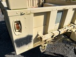 General Appearance with Paint