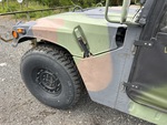 General Appearance with Paint