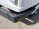 General Appearance with Paint