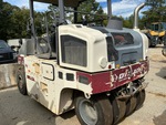 General Appearance with Paint