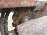 Chassis with Soportes giratorios del brazo pulsador