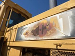 General Appearance with Pintura