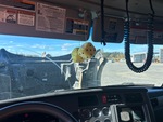 Cab with
