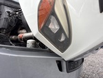 General Appearance with Paint