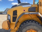 General Appearance with Paint