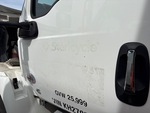 General Appearance with Peinture