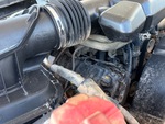 Motore with