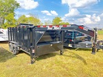 General Appearance with Paint