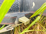 Trailer Chassis with License Plate Light Functional