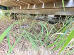 Trailer Chassis with Axle Condition