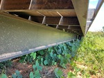 Chassis with Frame Rails/ Main Beams Condition