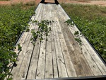 Chassis with Deck/ Floor Condition